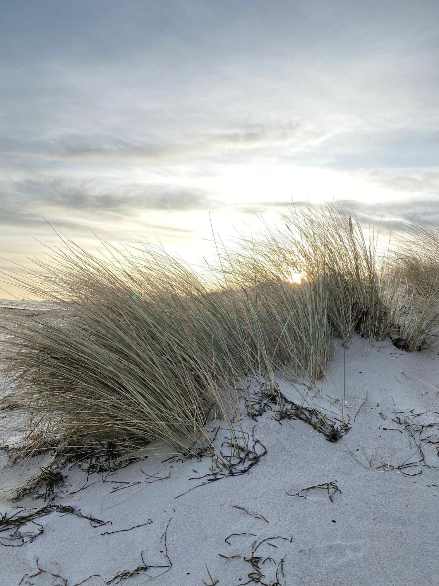 Meehrblick App 215 Appartement Zingst Buitenkant foto